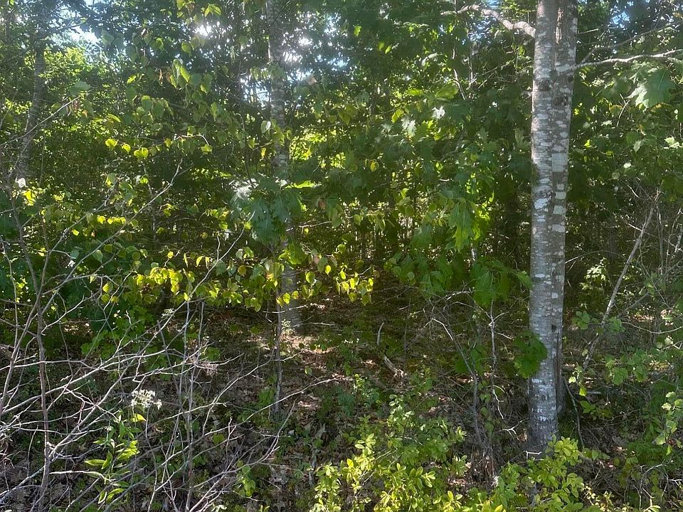 1st image of Lot 3 W Side Unionville Road