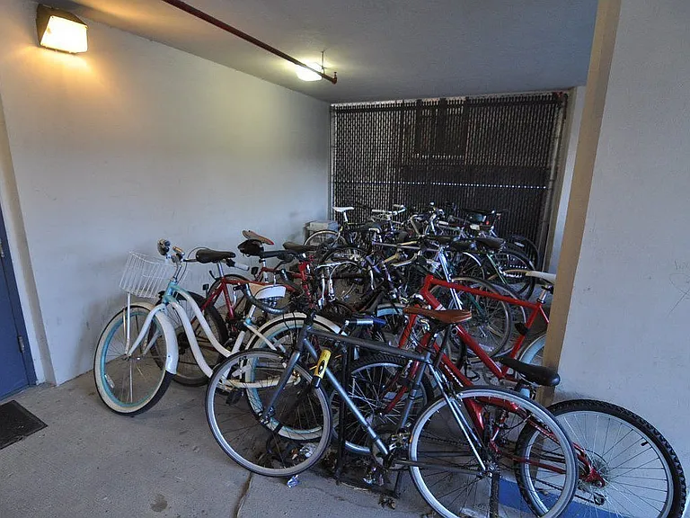 527 Lincoln Pl #204 — Photo 8