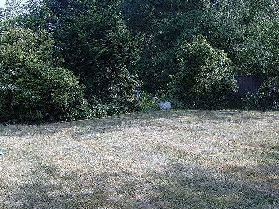 Large back yard