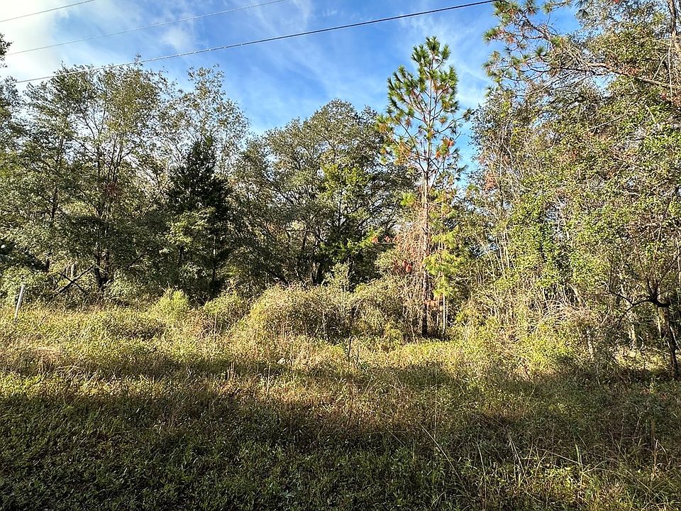 2nd image of LOT 46 NE 497th St