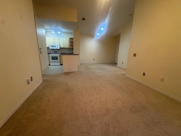 2603 Maitland Crossing Way #10305 — Photo 24