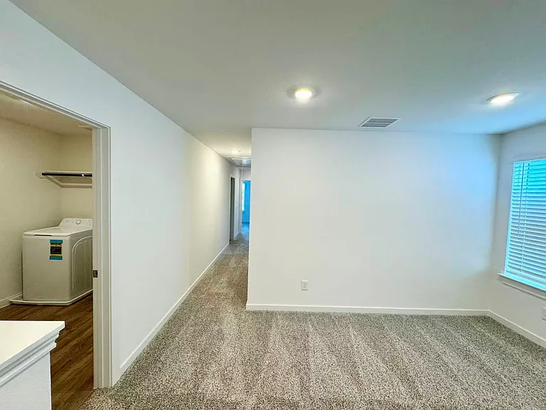 3527 Lovebird Ln — Photo 10