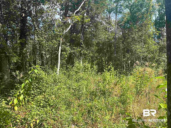 3rd image of 24875 Miflin Rd