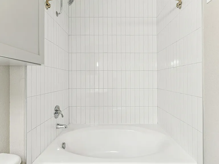 Lyra — Photo 10