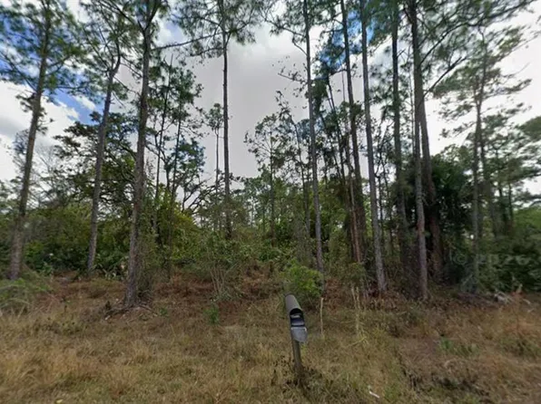 1210 Raphia St E Lot 15, Lehigh Acres, FL 33974