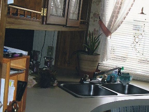 Dishwasher cab.divide LRm