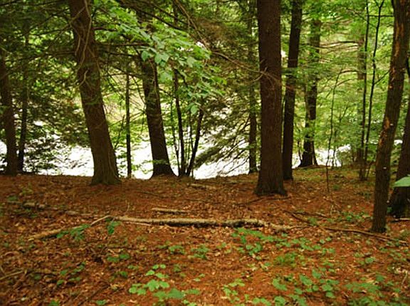 5th image of LOT 61 Sac Ct