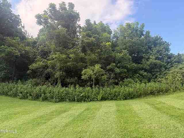 2nd image of 175 Bumpus Cove Rd