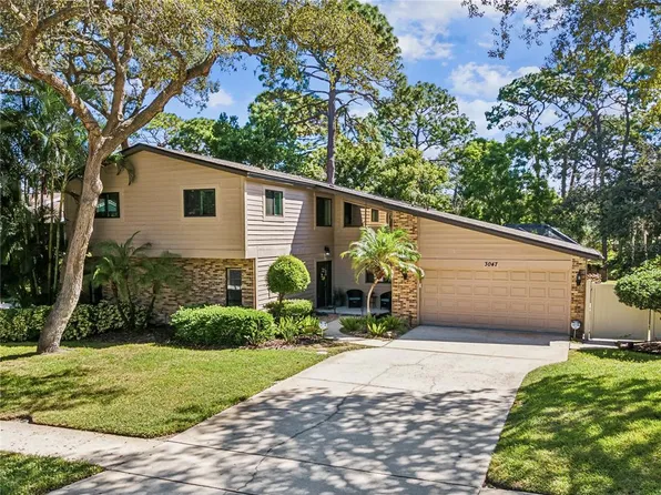 3047 Enisglen Dr, Palm Harbor, FL 34683
