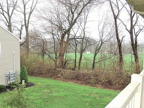 View from Deck