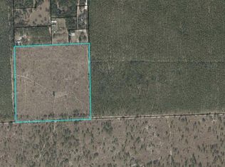 NE County Road 337, Trenton, FL 32693