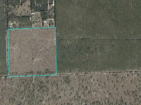 NE County Road 337, Trenton, FL 32693