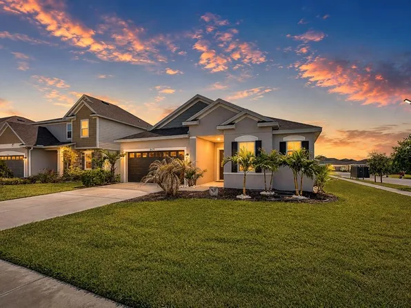 8325 Olive Brook Dr, Wesley Chapel, FL 33545