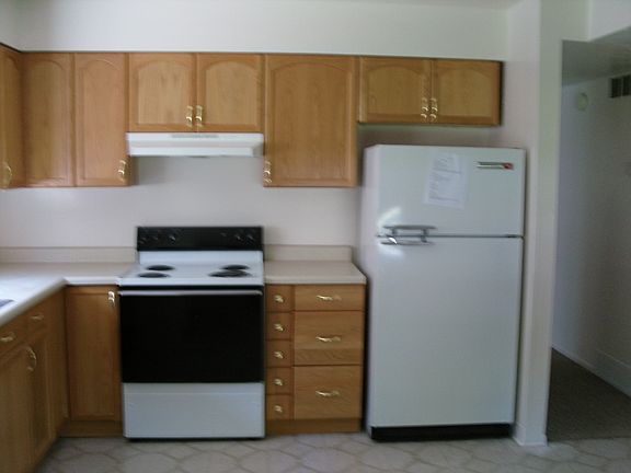 3rd image of 203 N Pingree Ave APT 1
