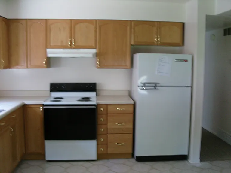 203 N Pingree Ave #1 — Photo 3