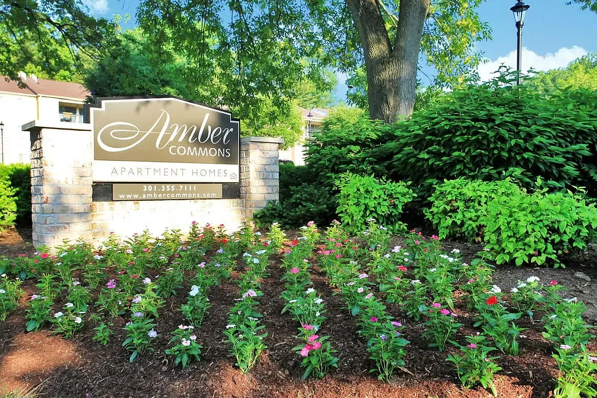 Amber Commons — Photo 4