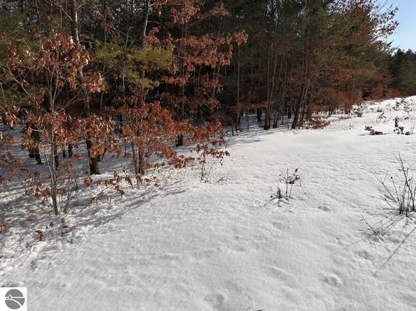 LOT Betsie River Rd #C, Interlochen, MI 49643