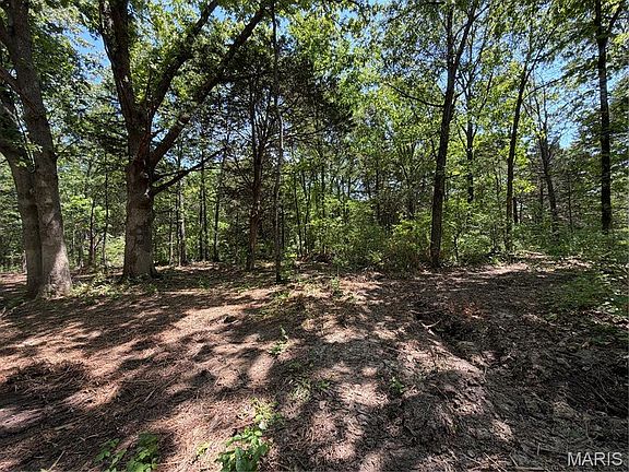 3rd image of Buckner Rd