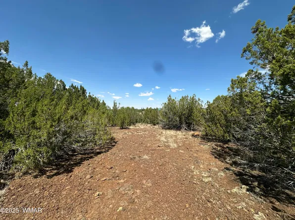 1787 Schad Pl, Show Low, AZ 85901