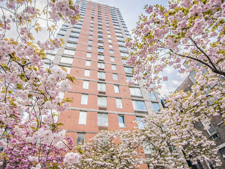305 W 50th St #19C — Photo 1