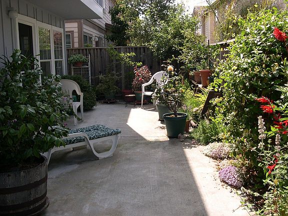 Back patio garden