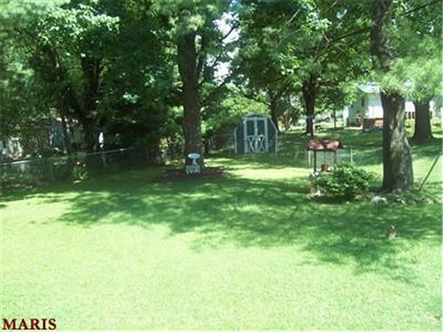 back yard