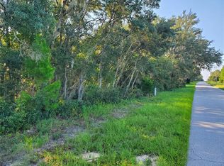 Lake Norris Rd, Eustis, FL 32736