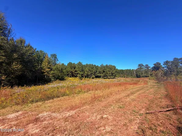 71619 Troy Spears Rd, Kentwood, LA 70444