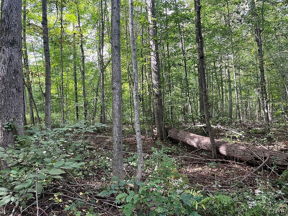 1st image of Liberty Pole Rd
