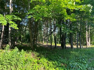 25 Elizabeth St #1, Oswego, NY 13126