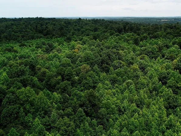 TRACT 5 Cook Ln, Cromwell, KY 42333