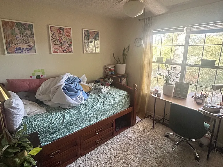 215 Hodgson Dr — Photo 6