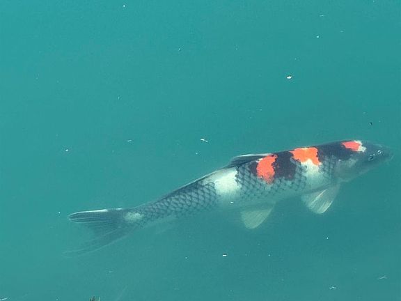 82nd image of this home