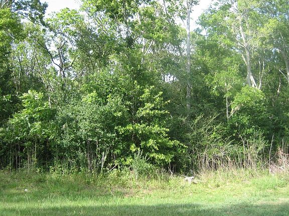 2nd image of 7803 Bee Hollow Ct