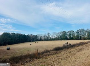 0 Fouche Rd LOT 2B & 2C, Buena Vista, GA 31803