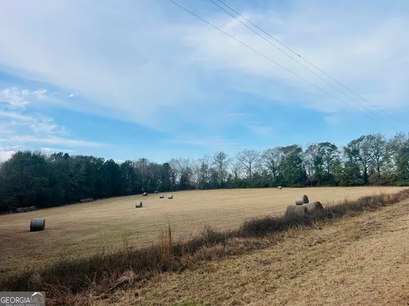 0 Fouche Rd Lot 2b & 2c, Buena Vista, GA 31803