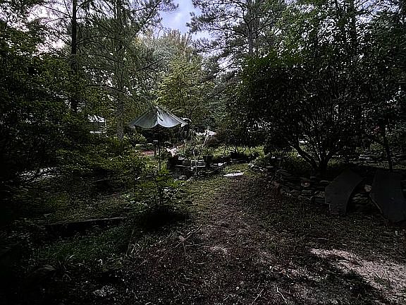 pond area/ plants / she-shed