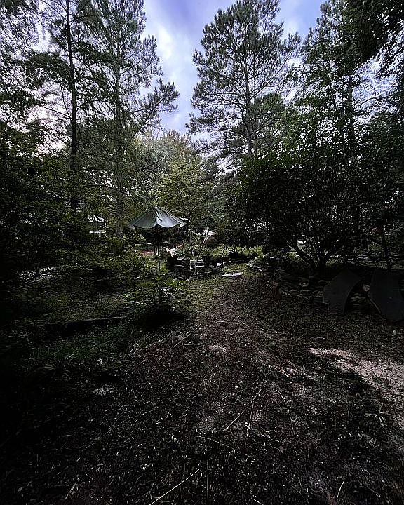 pond area/ plants / she-shed