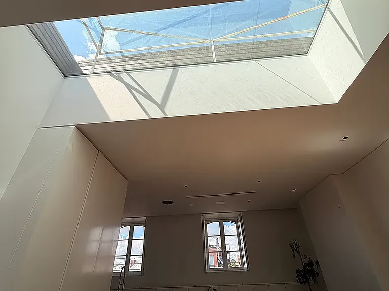 369 Bleecker St #PENTHOUSE — Photo 8