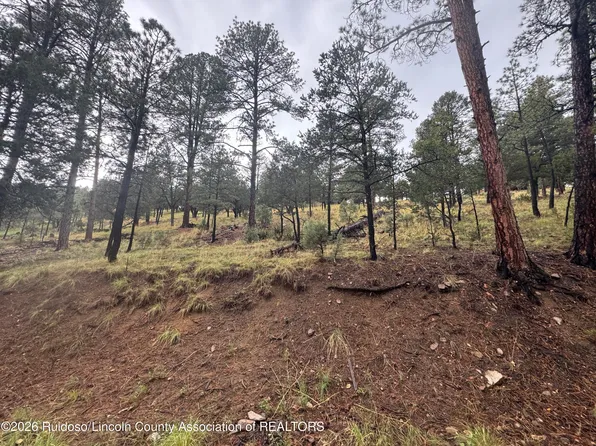 43 Alto Dr #7, Alto, NM 88312