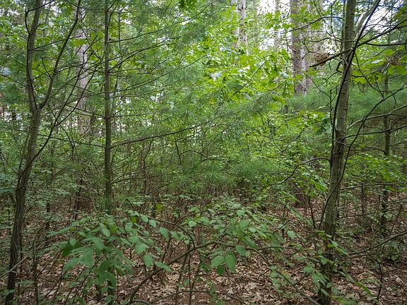 3rd image of W4076 Mays Point Rd