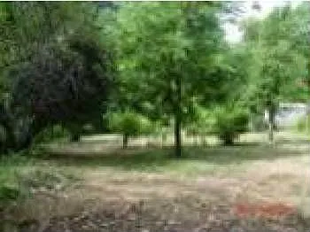 302 Lower Wolf Creek Rd photo 1