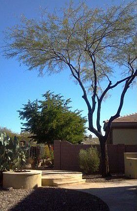 4th image of 42209 N Stonemark Dr