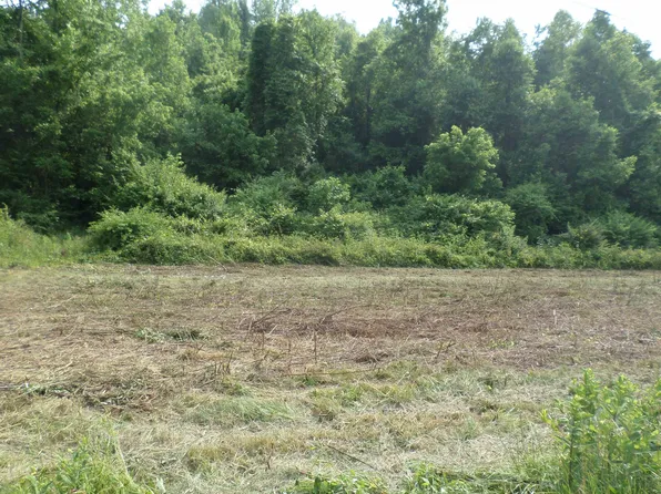 0 County Road 66, Proctorville, OH 45669