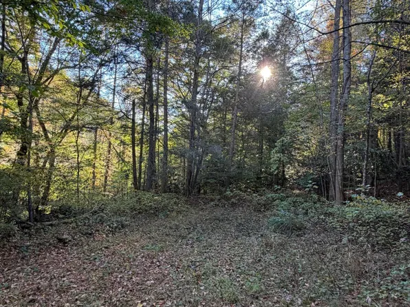 N/a Yellow Creek Rd, Wise, VA 24293