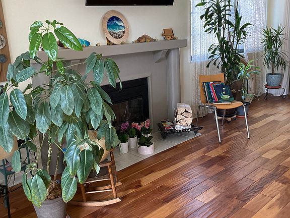 Wood burning (gas starter) fireplace