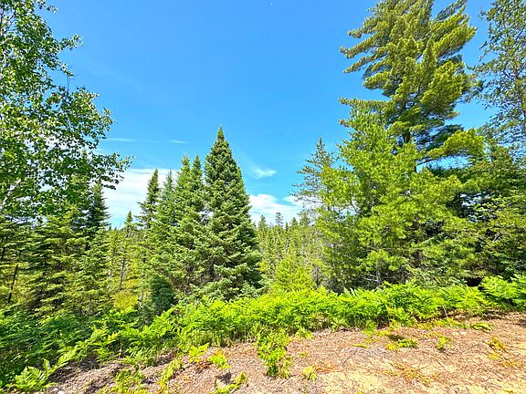 18th image of 7887 N Beaver Rd