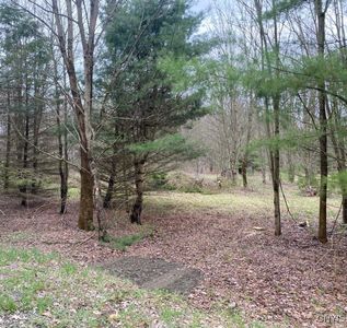 Pine Hill Rd, Marathon, NY, 13803