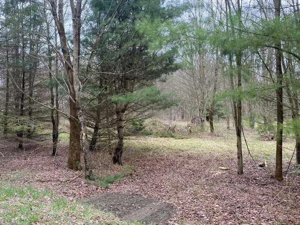 Pine Hill Rd, Marathon, NY 13803