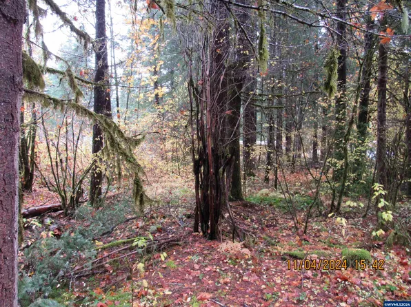 PARCEL 26282 Mountain Ave SE, Idanha, OR 97350